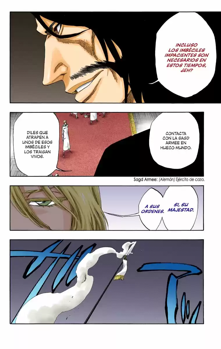 Bleach Full Color - Capítulo 486 - Página 16 - LectorTMOo