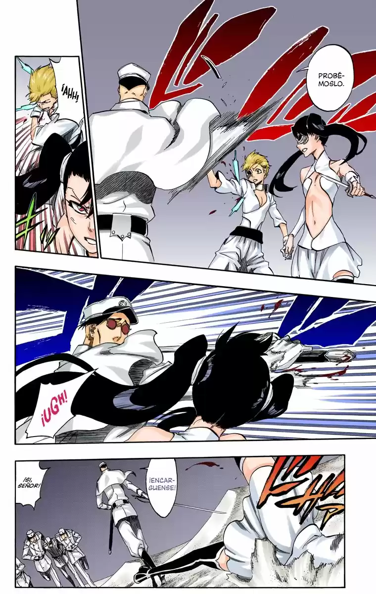 Bleach Full Color - Capítulo 487 - Página 17 - LectorTMOo
