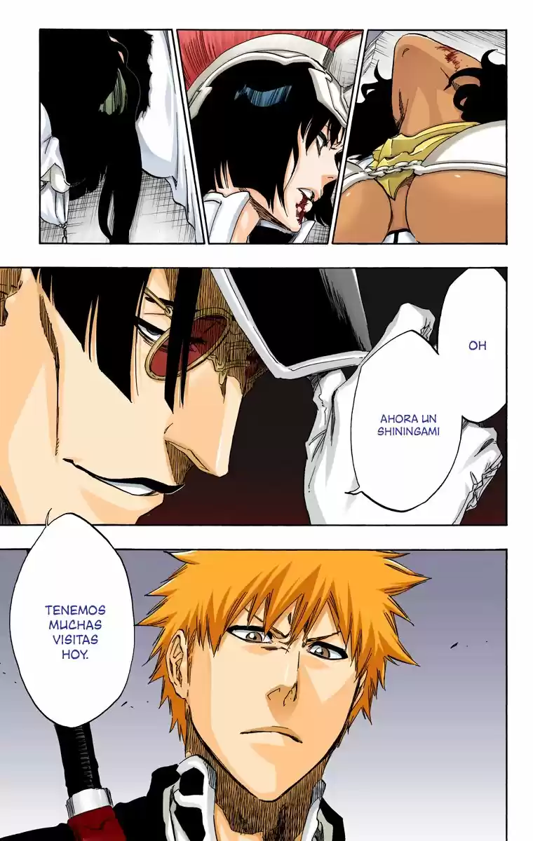 Bleach Full Color - Capítulo 488 - Página 17 - LectorTMOo