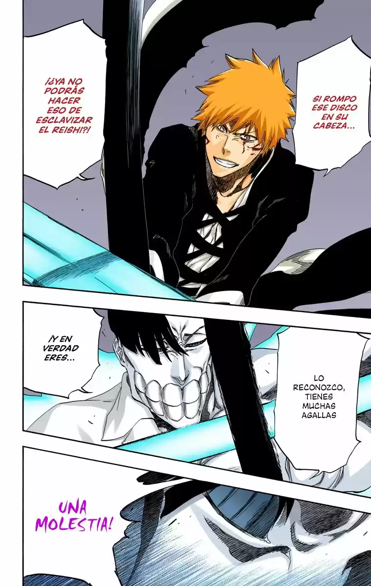 Bleach Full Color - Capítulo 493 - Página 14 - LectorTMOo