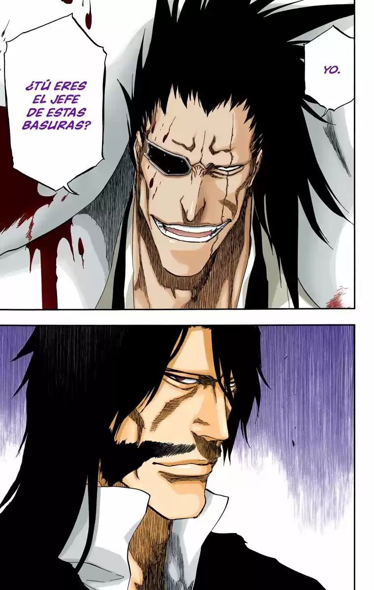 Bleach Full Color - Capítulo 502 - Página 17 - LectorTMOo