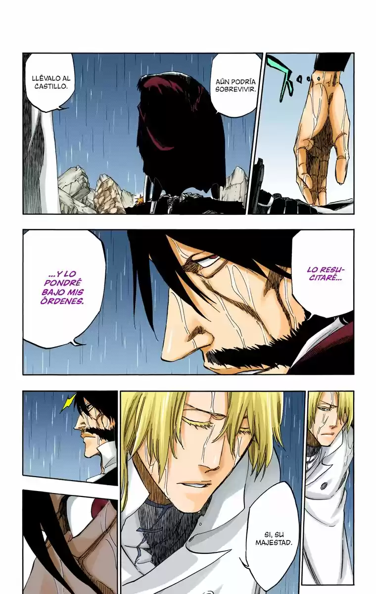Bleach Full Color - Capítulo 513 - Página 14 - LectorTMOo