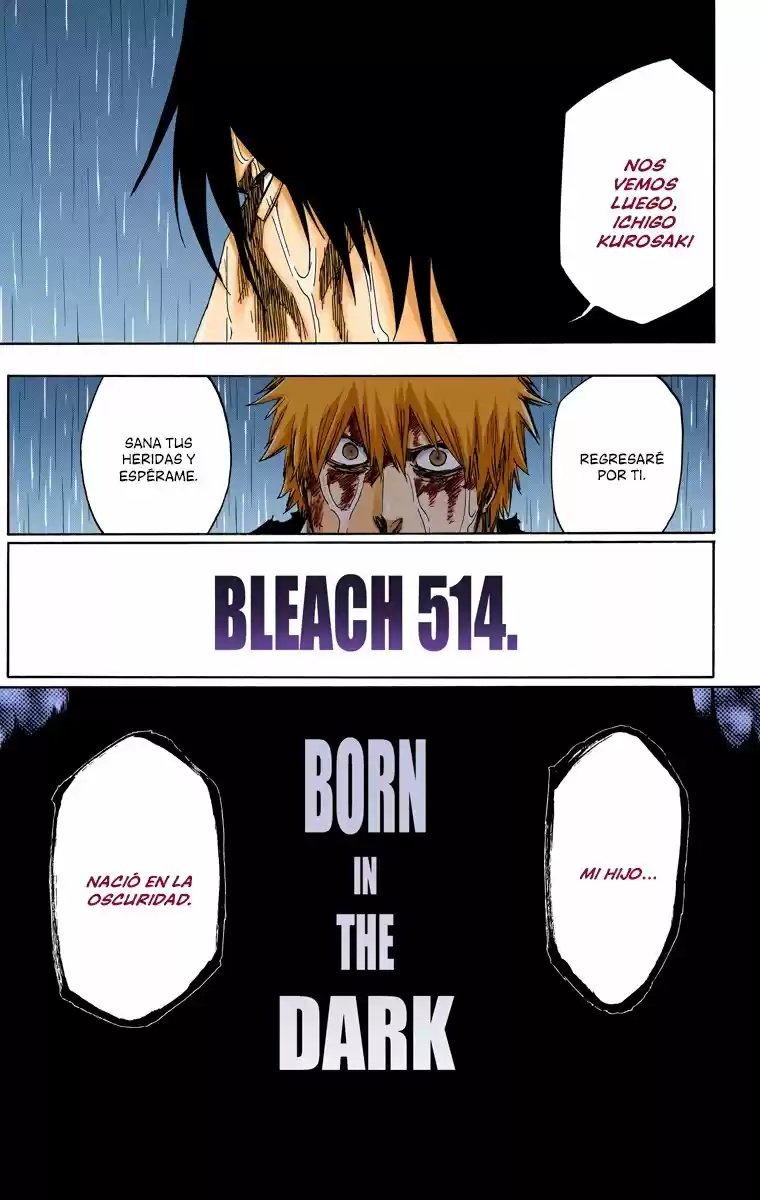 Bleach Full Color - Capítulo 514 - Página 17 - LectorTMOo