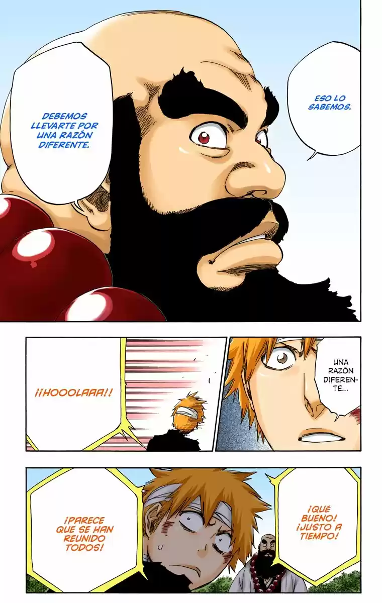 Bleach Full Color - Capítulo 517 - Página 19 - LectorTMOo