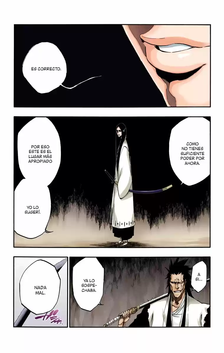 Bleach Full Color - Capítulo 523 - Página 14 - LectorTMOo