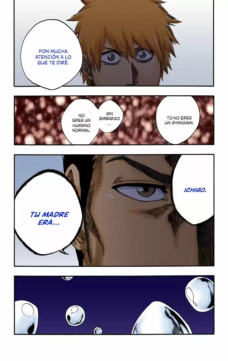 Bleach Full Color - Capítulo 528 - Página 15 - LectorTMOo