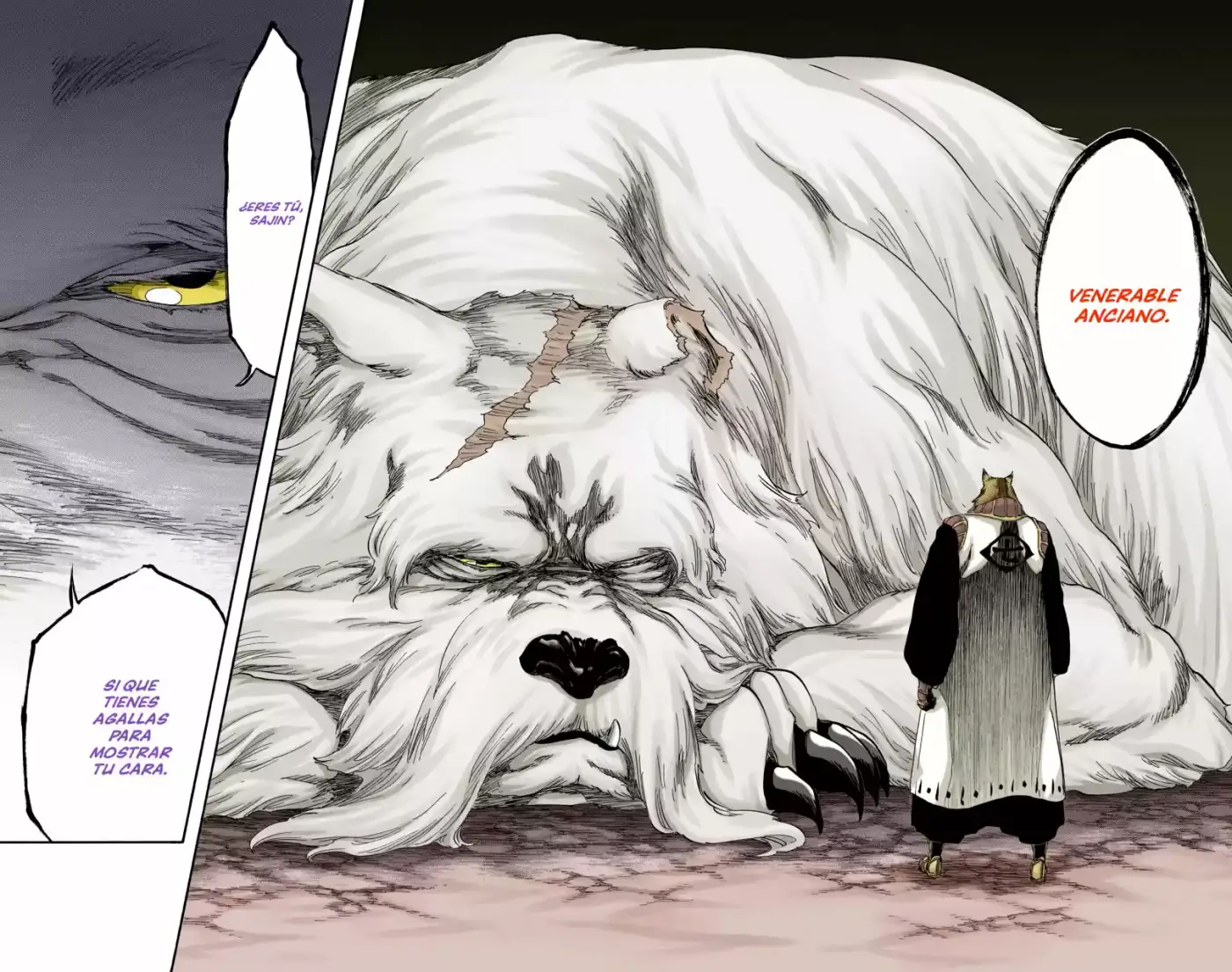 Bleach Full Color - Capítulo 538 - Página 17 - LectorTMOo