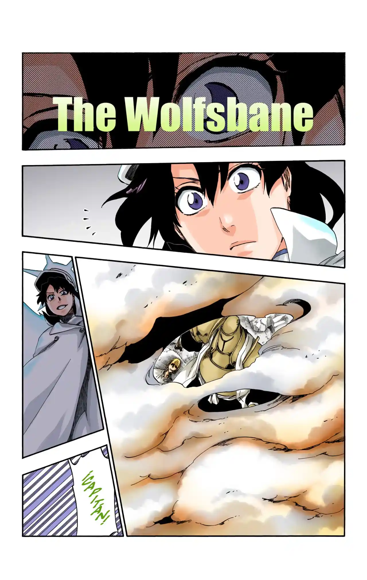 Bleach Full Color - Capítulo 556 - Página 5 - LectorTMOo