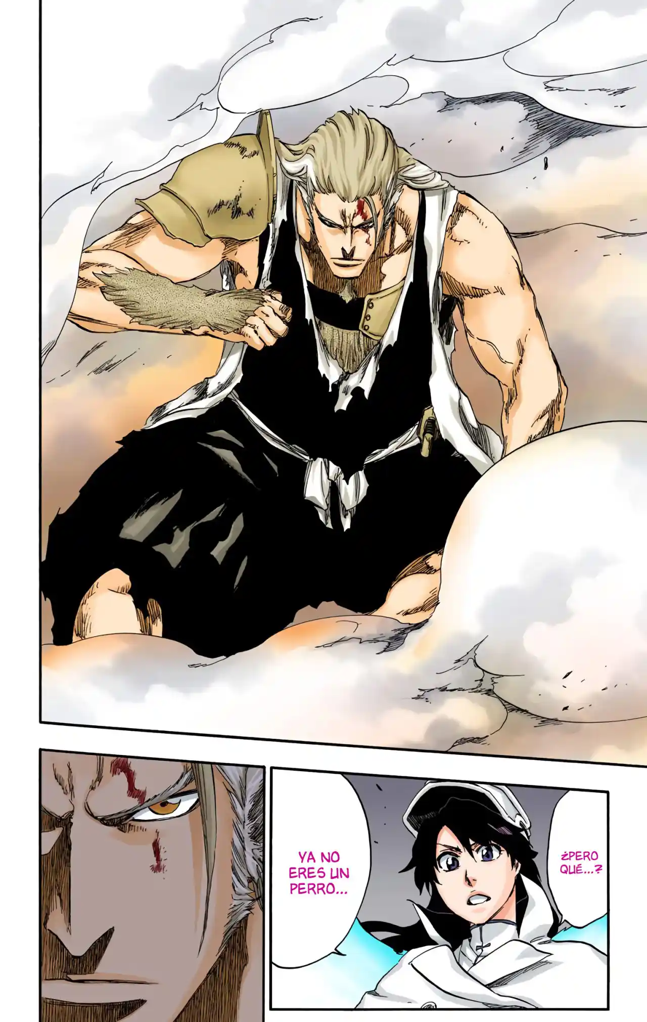 Bleach Full Color - Capítulo 556 - Página 13 - LectorTMOo