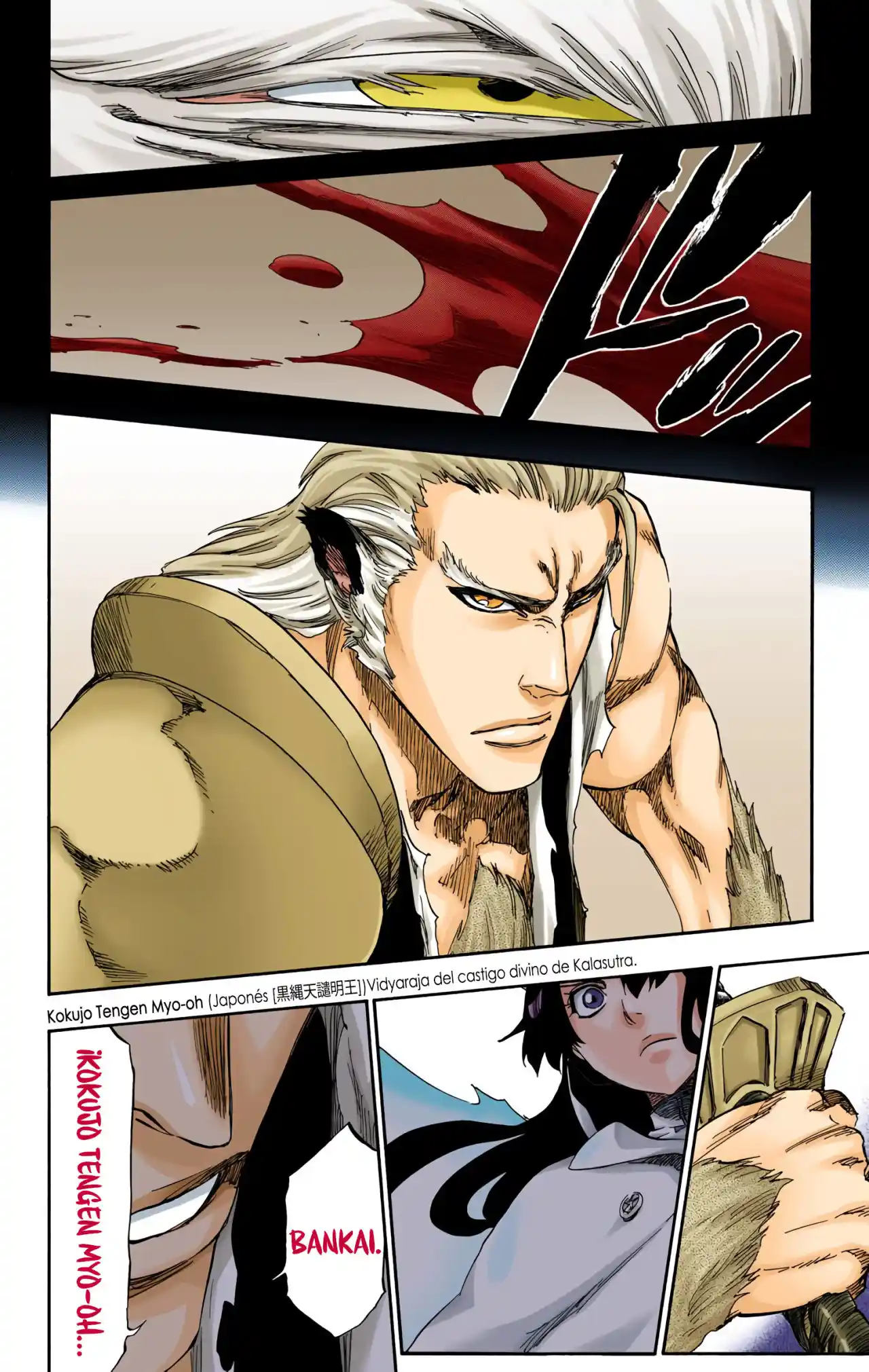Bleach Full Color - Capítulo 556 - Página 17 - LectorTMOo