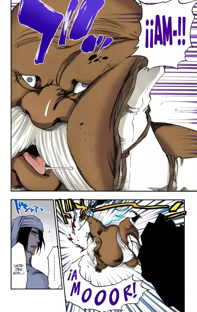 Bleach Full Color - Capítulo 595 - Página 17 - LectorTMOo