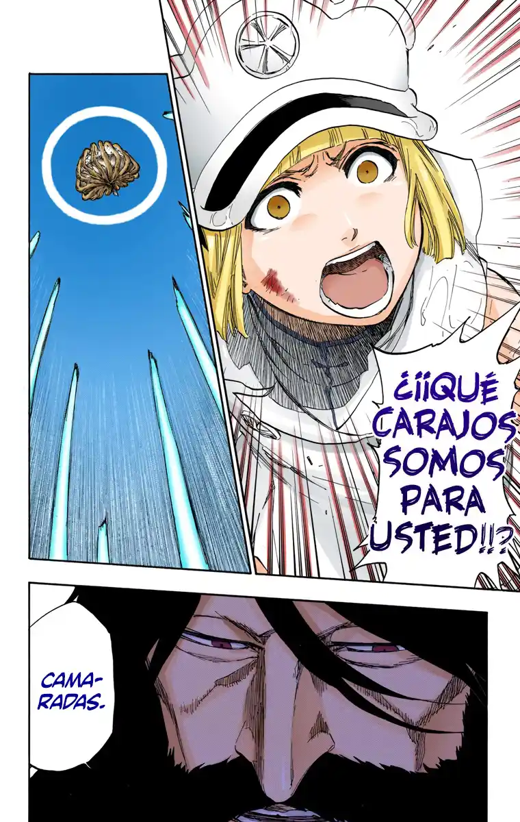 Bleach Full Color - Capítulo 603 - Página 17 - LectorTMOo