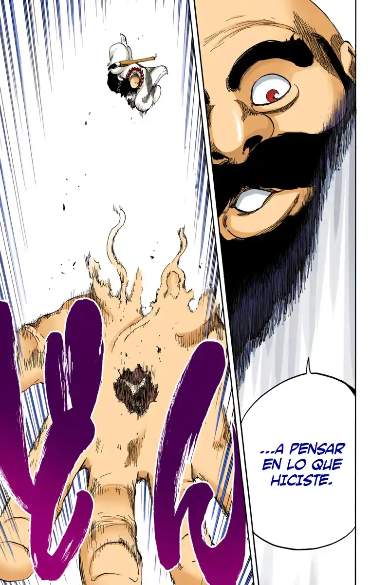 Bleach Full Color - Capítulo 605 - Página 14 - LectorTMOo