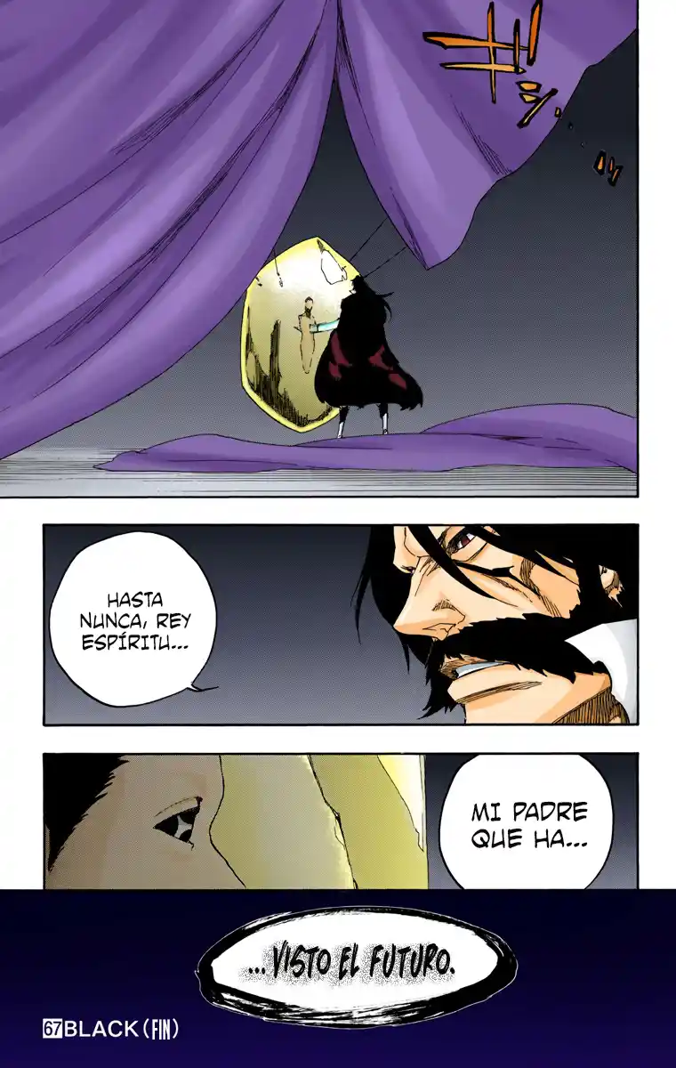Bleach Full Color - Capítulo 611 - Página 17 - LectorTMOo