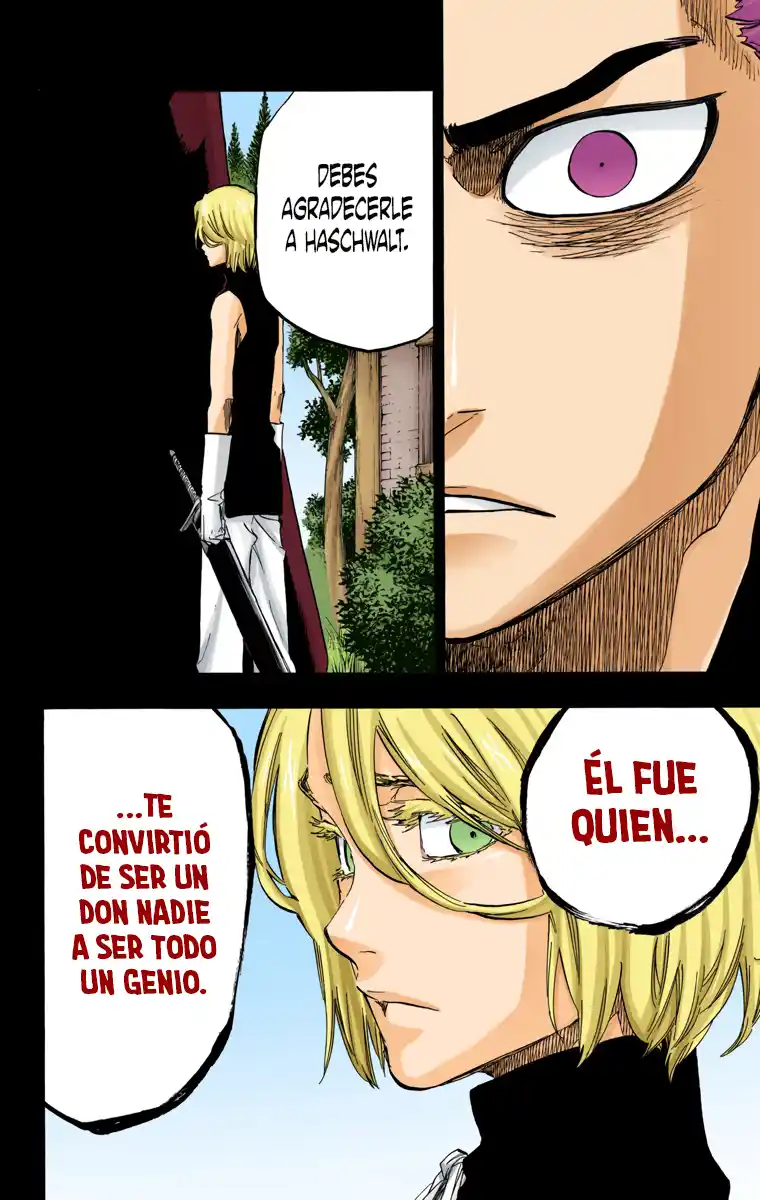Bleach Full Color - Capítulo 633 - Página 17 - LectorTMOo