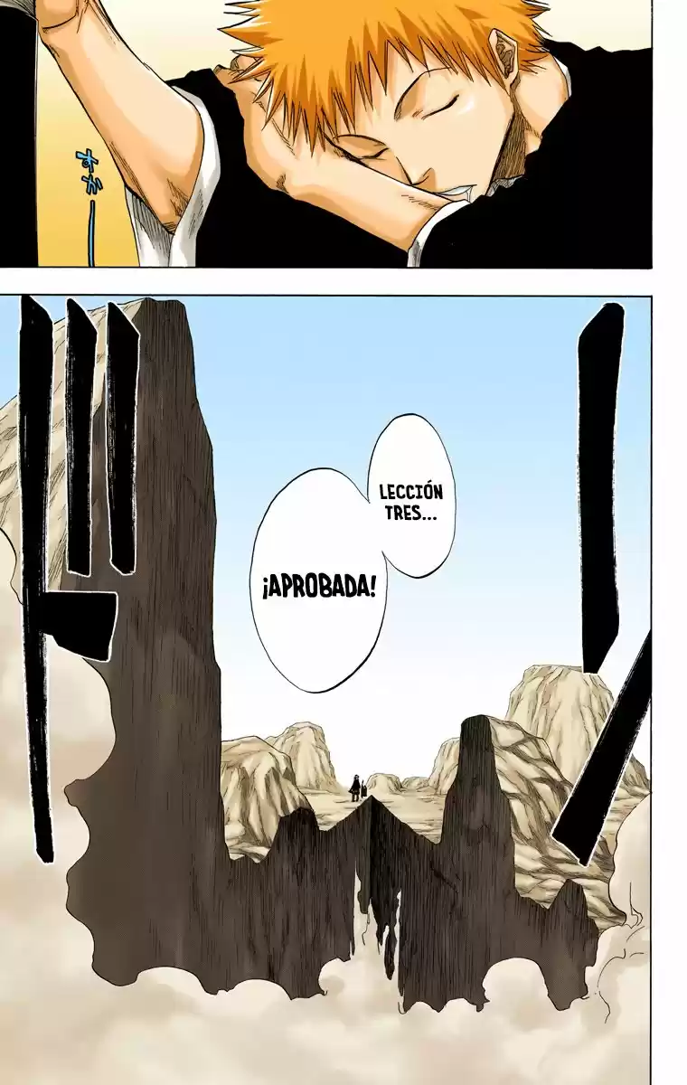 Bleach Full Color - Capítulo 67 - Página 17 - LectorTMOo