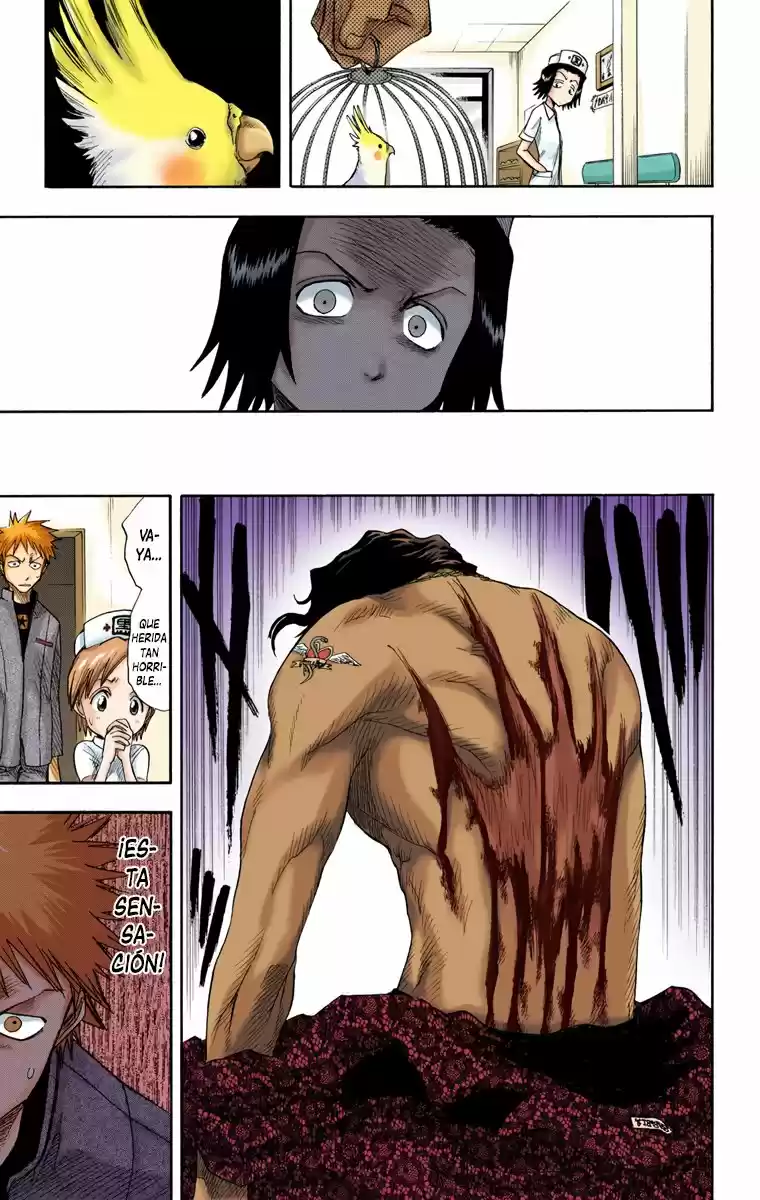 Bleach Full Color - Capítulo 7 - Página 19 - LectorTMOo