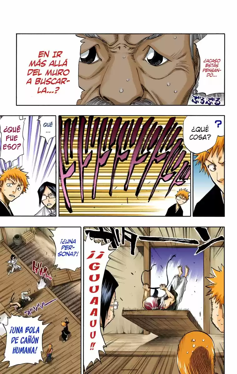 Bleach Full Color - Capítulo 76 - Página 17 - LectorTMOo