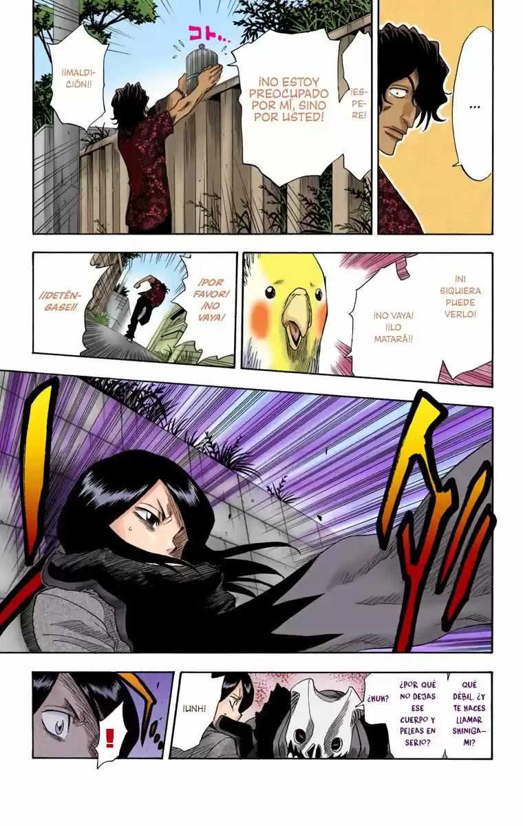 Bleach Full Color - Capítulo 9 - Página 13 - LectorTMOo