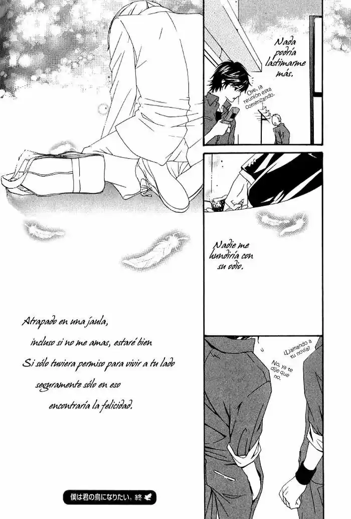 Boku Wa Kimi No Tori Ni Naritai - Capítulo 3 - Página 33 - LectorTMOo