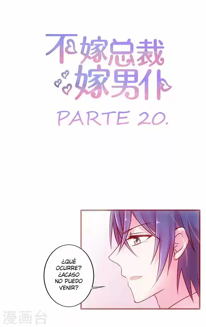Bu Jia Zongcai Jia Nan Pu - Capítulo 20 - Página 2 - LectorTMOo