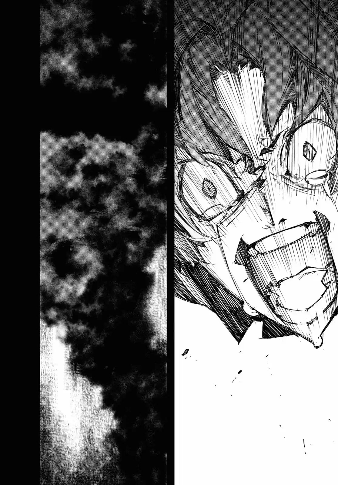 Bungou Stray Dogs BEAST - Capítulo 17 - Página 25 - LectorTMOo
