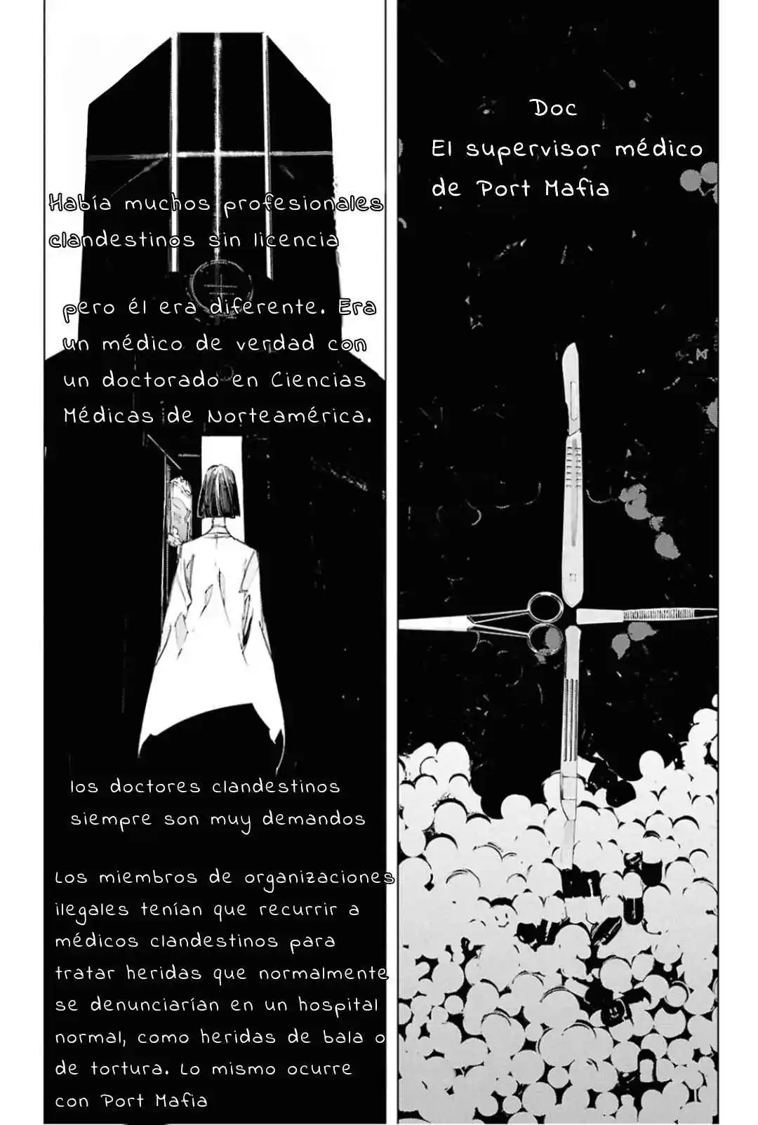 Bungou Stray Dogs: Storm Bringer - Capítulo 2 - Página 19 - LectorTMOo