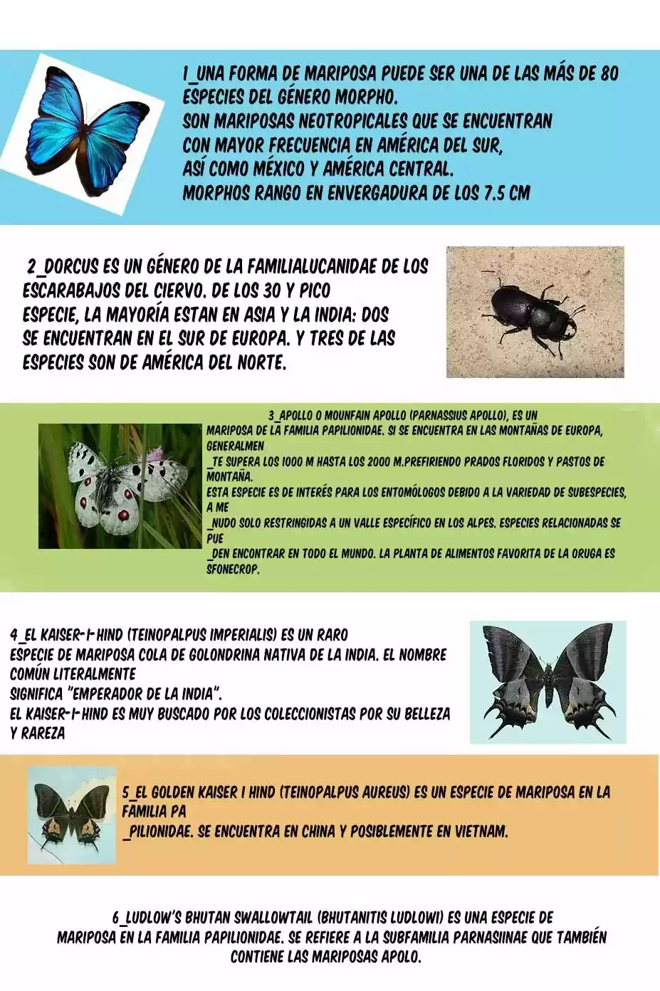 C.m.b - Capítulo 1.30 - Página 29 - LectorTMOo