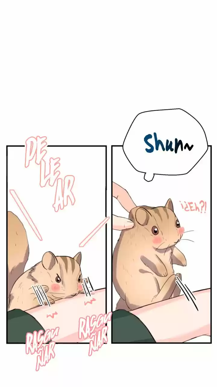 CABALLERO MALVADO - Capítulo 11 - Página 49 - LectorTMOo