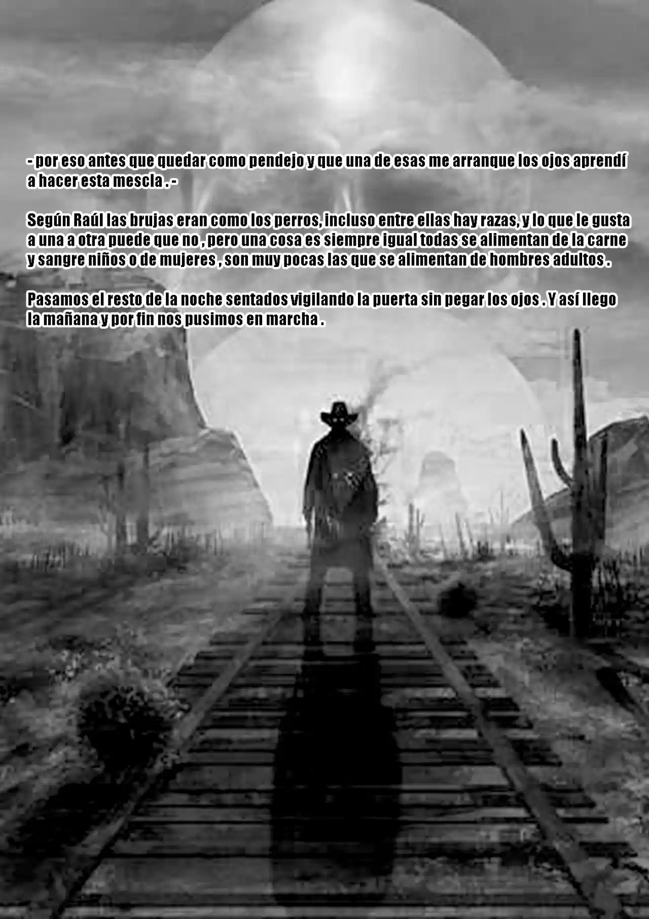 Caminantes Del Desierto (Novela) - Capítulo 2 - Página 17 - LectorTMOo