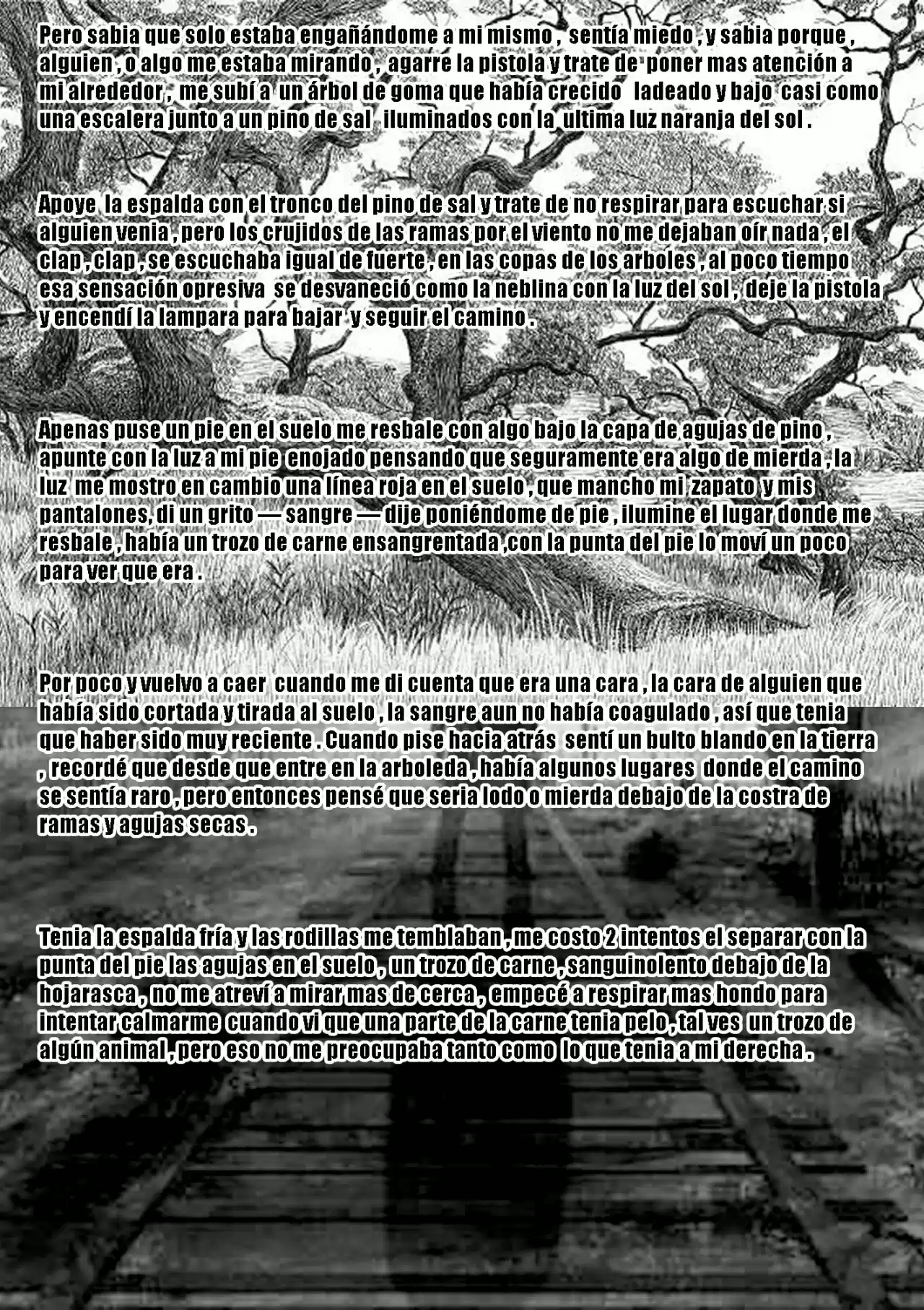 Caminantes Del Desierto (Novela) - Capítulo 8 - Página 15 - LectorTMOo