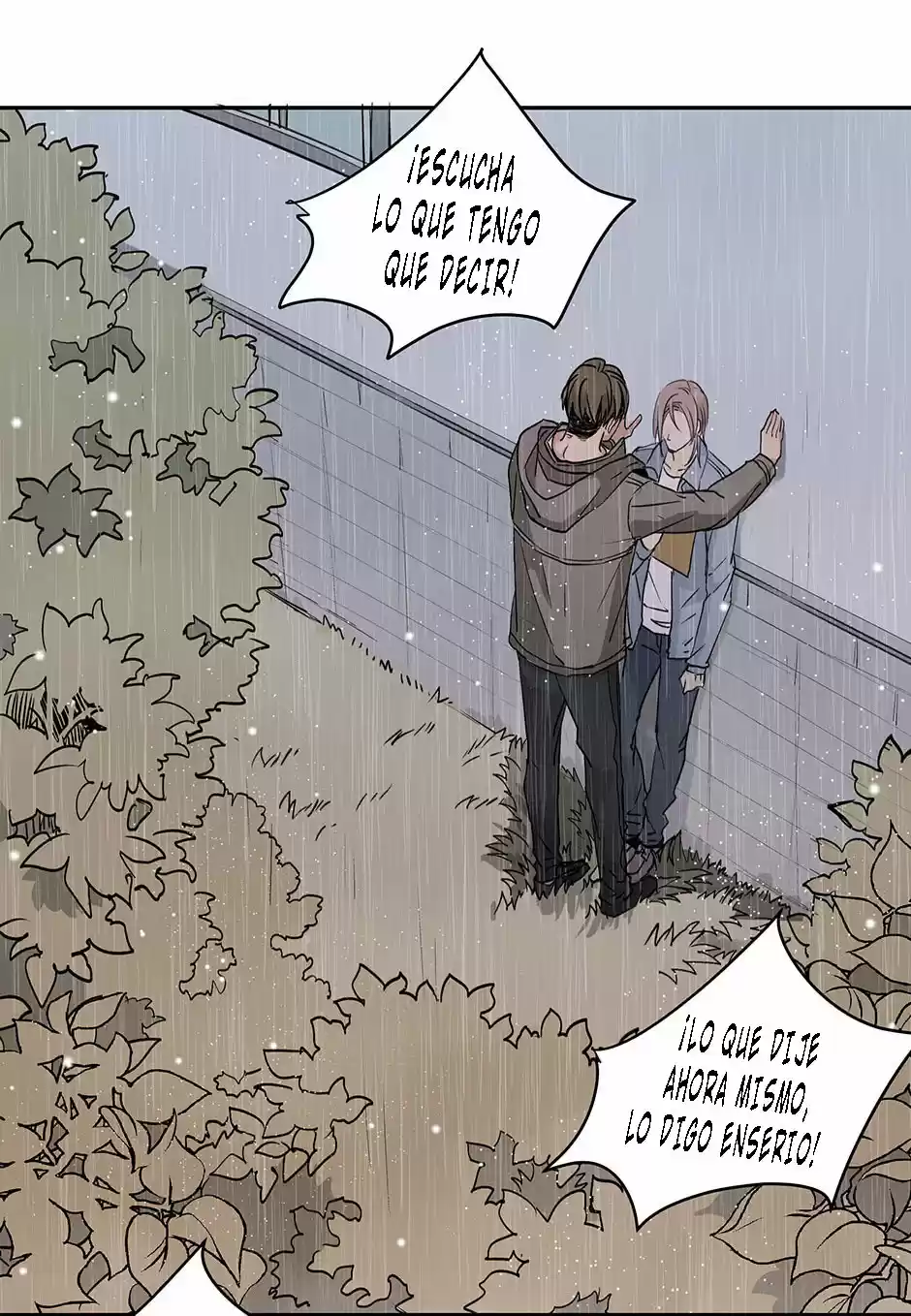 Capullo Del Corazón - Capítulo 32 - Página 20 - LectorTMOo