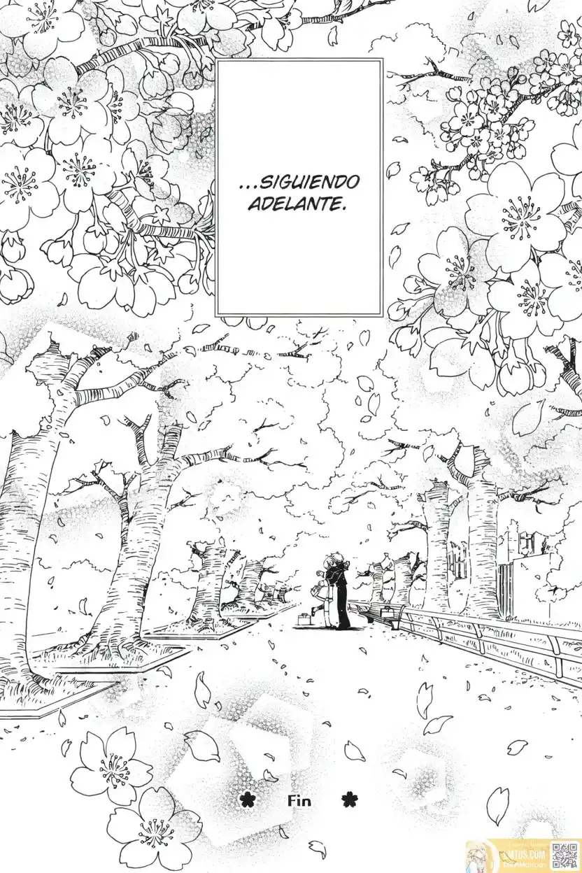 Cardcaptor Sakura: Clear Card-hen - Capítulo 81 - Página 33 - LectorTMOo