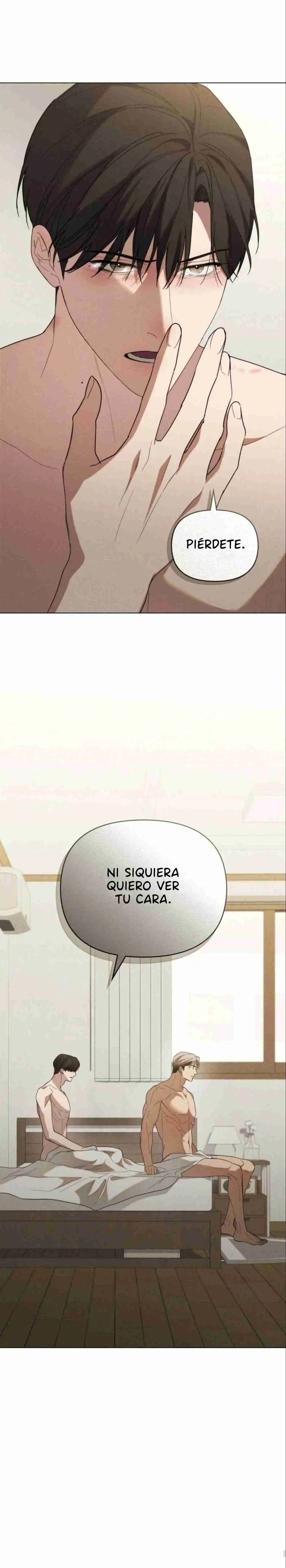 Cariño Encubierto +19 (BL) - Capítulo 21 - Página 13 - LectorTMOo