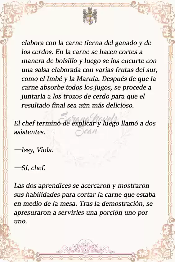 Cariño, Haré Huelga (Novela) - Capítulo 43 - Página 17 - LectorTMOo