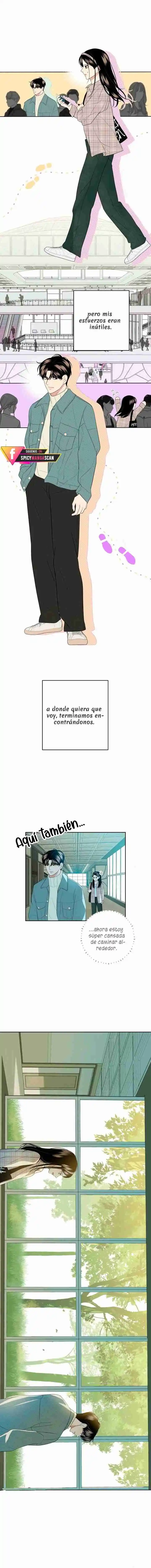 Casarte A Los 19 Esta Mal - Capítulo 4 - Página 8 - LectorTMOo
