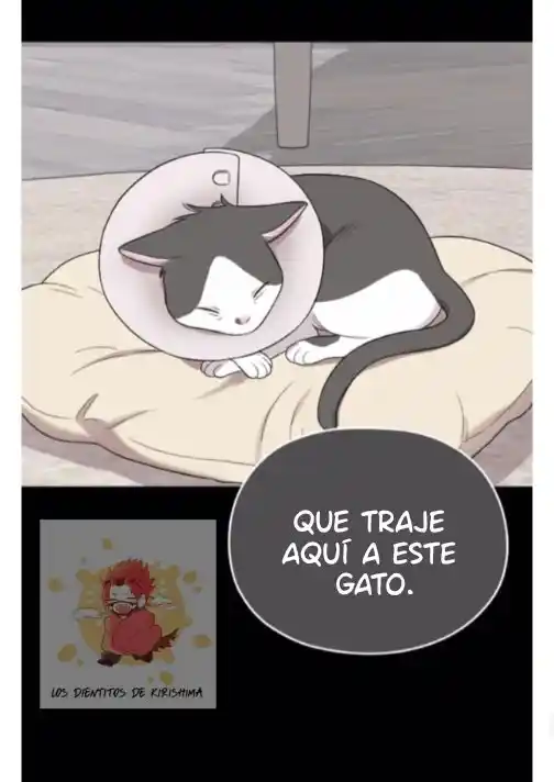 Casate Con Mi Marido - Capítulo 1.46 - Página 20 - LectorTMOo