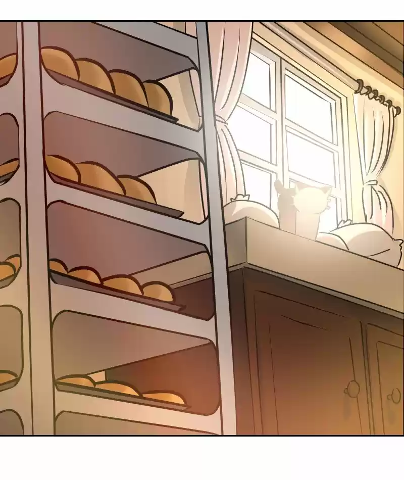 Cat Loaf Adventures - Capítulo 1 - Página 6 - LectorTMOo