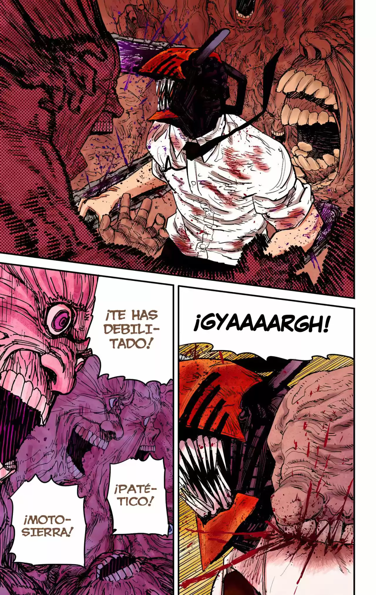 Chainsaw Man Full Color - Capítulo 18 - Página 22 - LectorTMOo