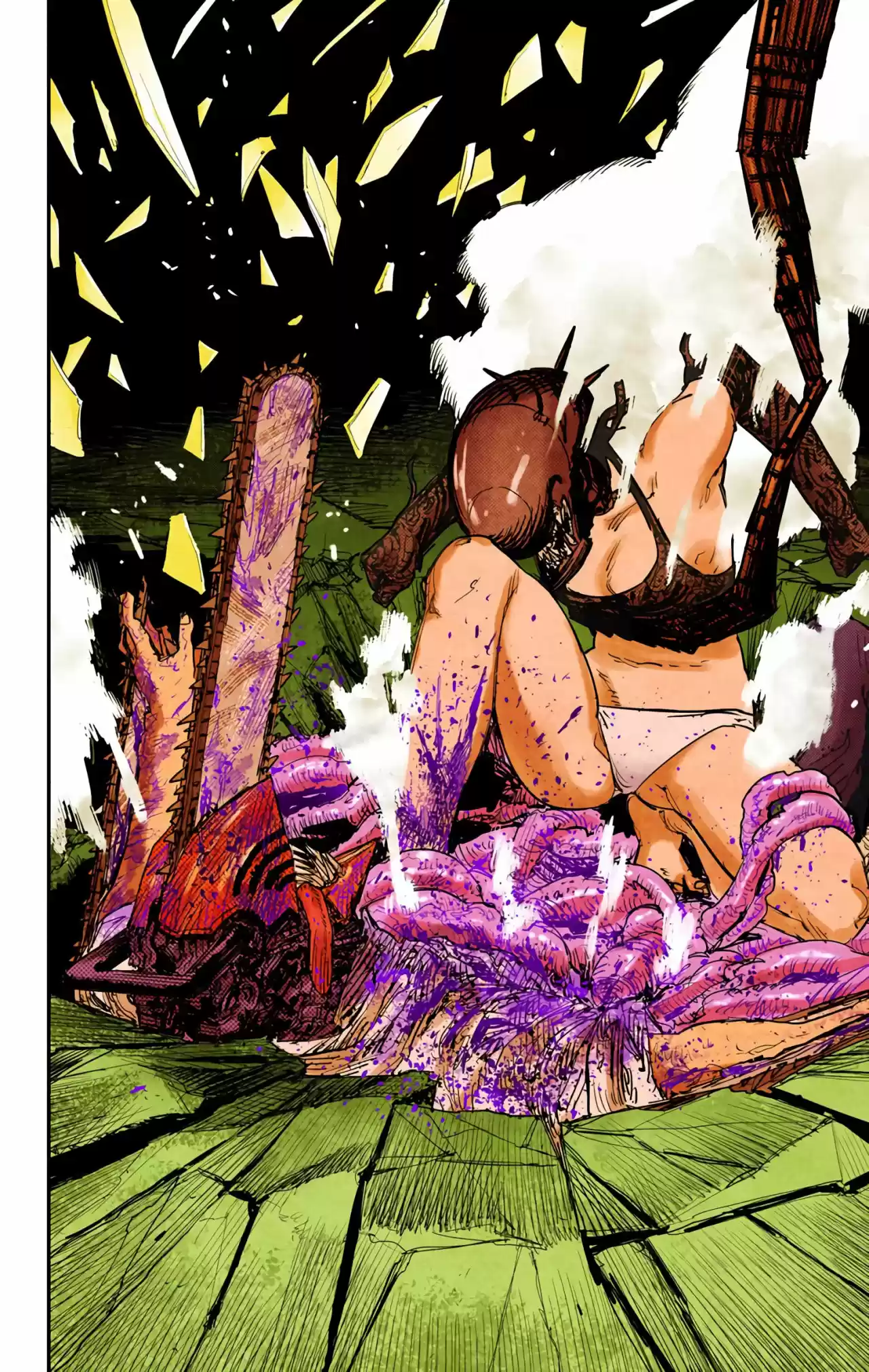 Chainsaw Man Full Color - Capítulo 48 - Página 14 - LectorTMOo