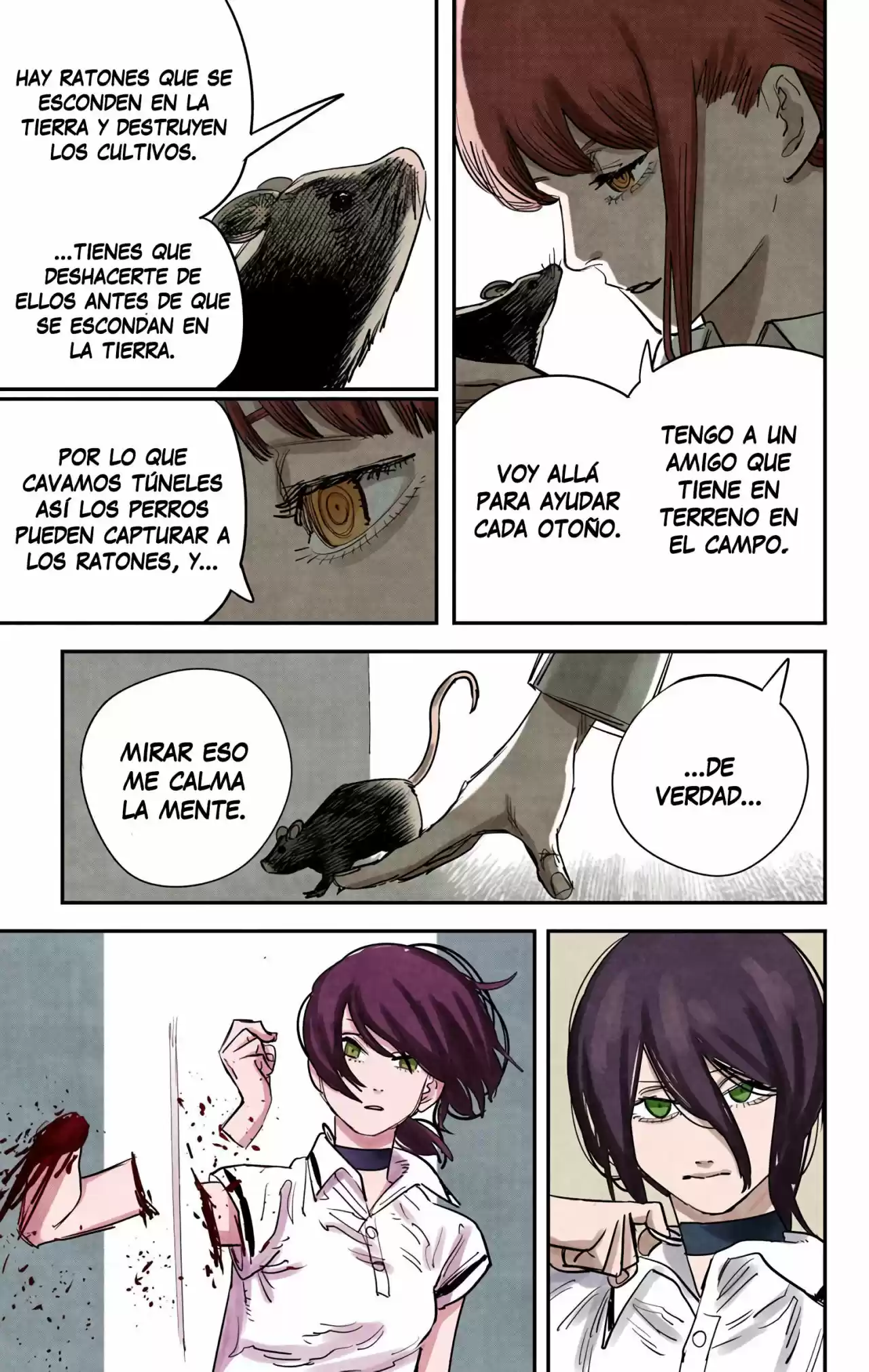 Chainsaw Man Full Color - Capítulo 52 - Página 11 - LectorTMOo