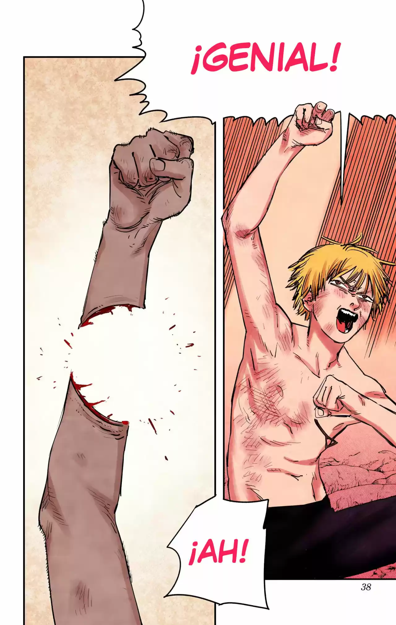 Chainsaw Man Full Color - Capítulo 9 - Página 15 - LectorTMOo