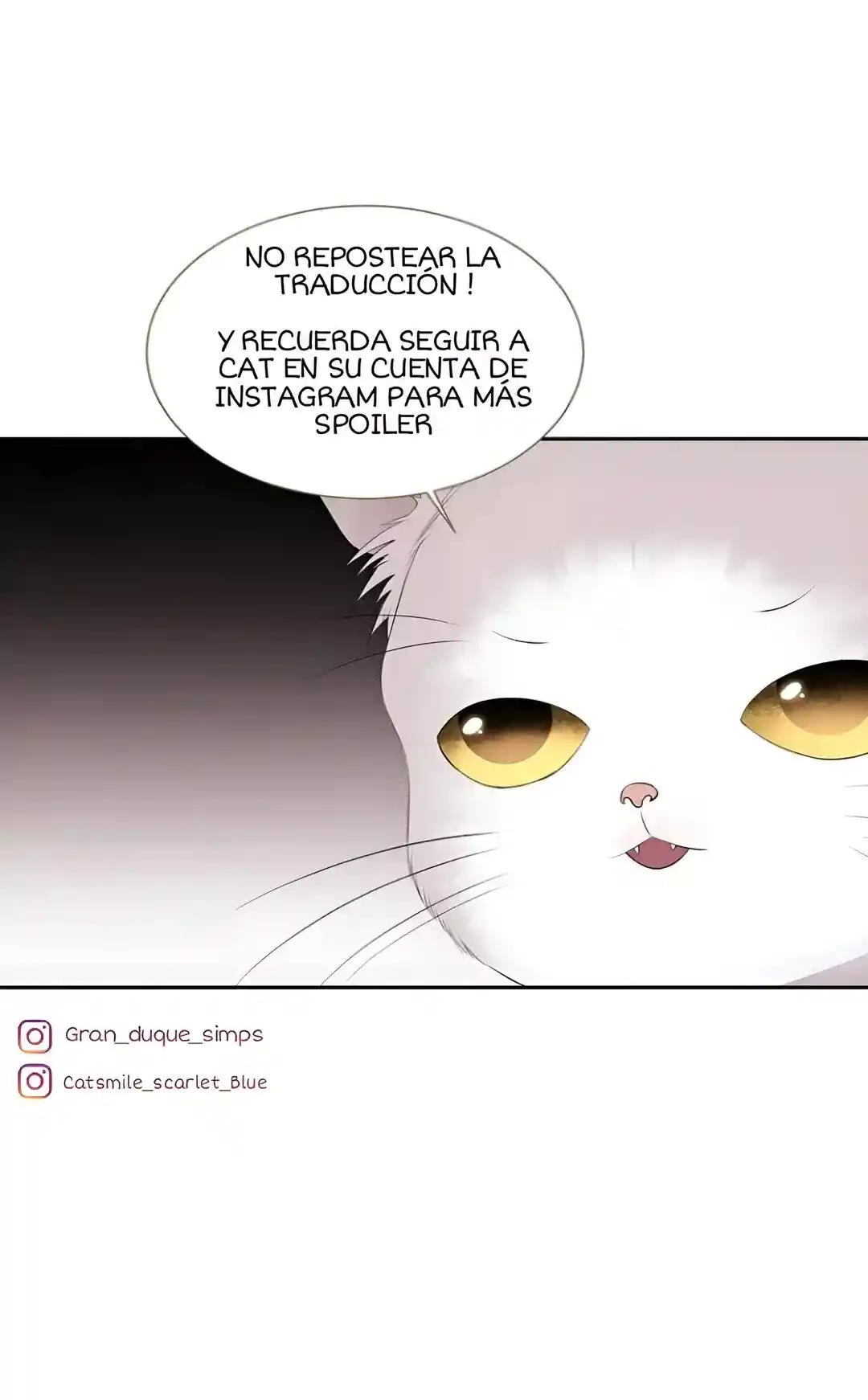 CHARLOTTE Y SUS 5 DISCÍPULOS - Capítulo 195 - Página 22 - LectorTMOo