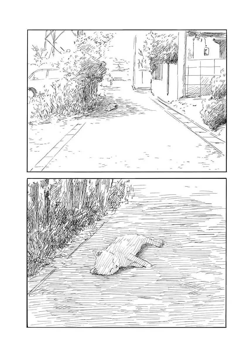 Chi No Wadachi capítulo 138 página 5