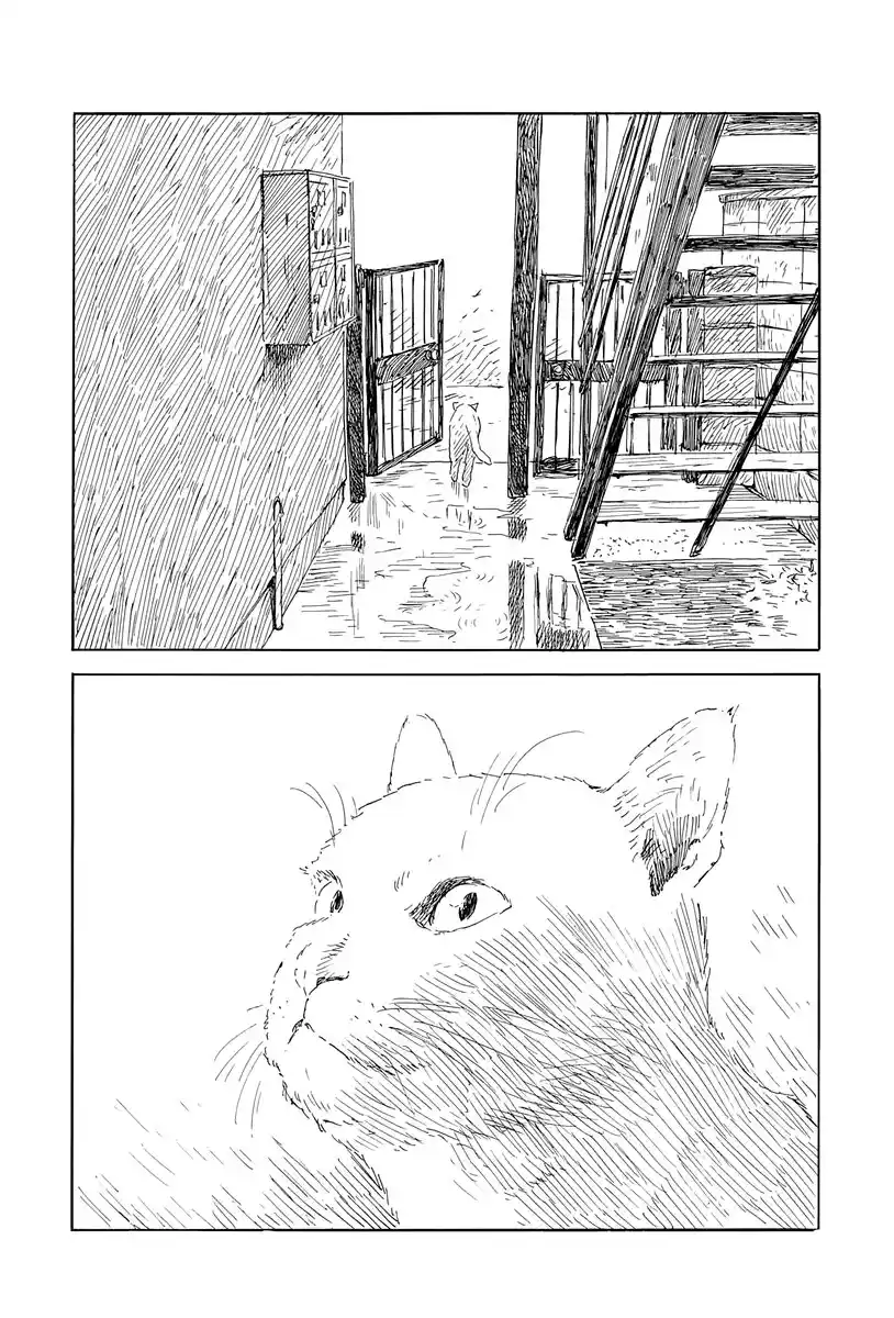 Chi No Wadachi capítulo 139 página 21