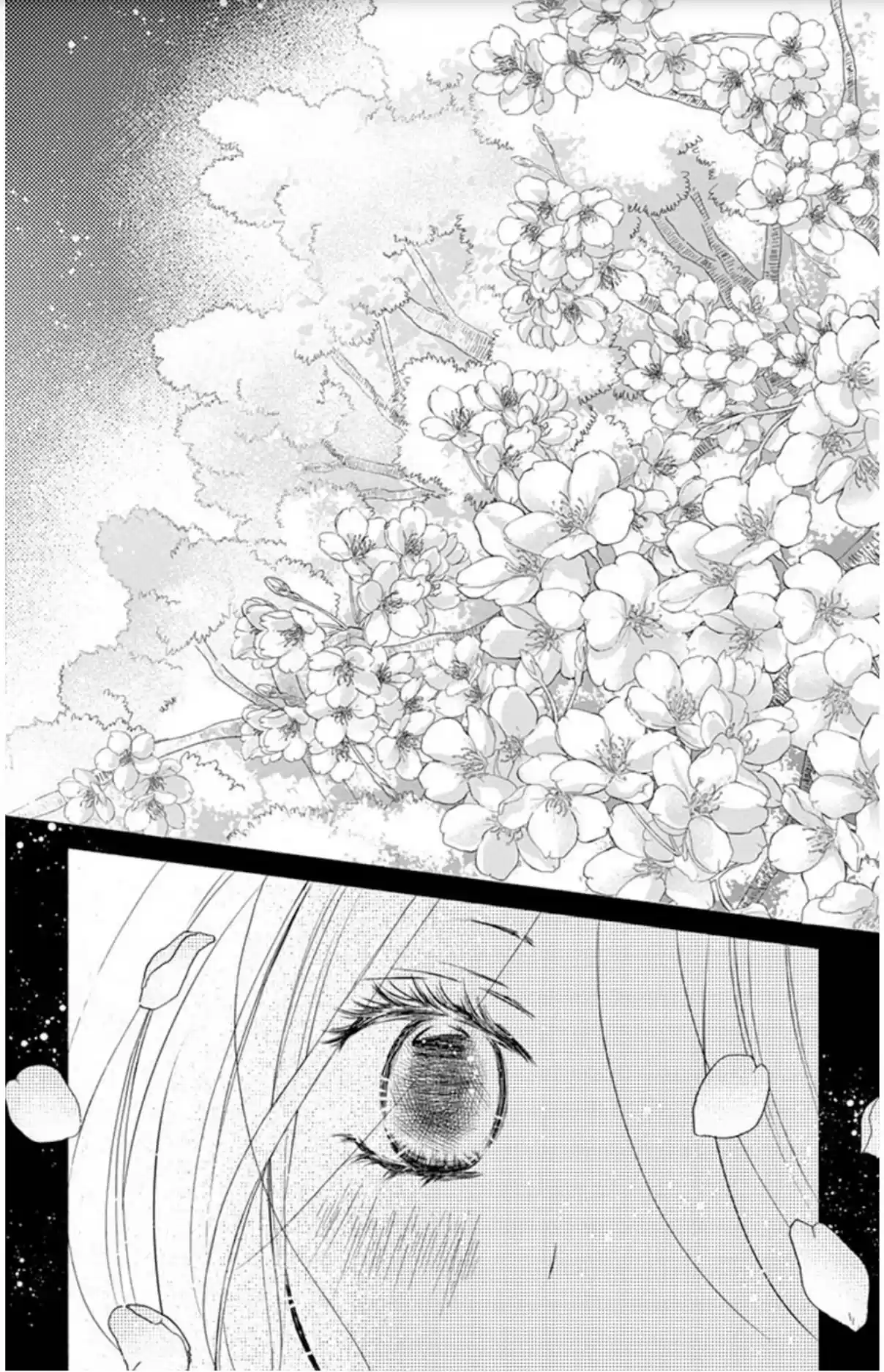 Chijou No Seppun - Capítulo 12 - Página 24 - LectorTMOo
