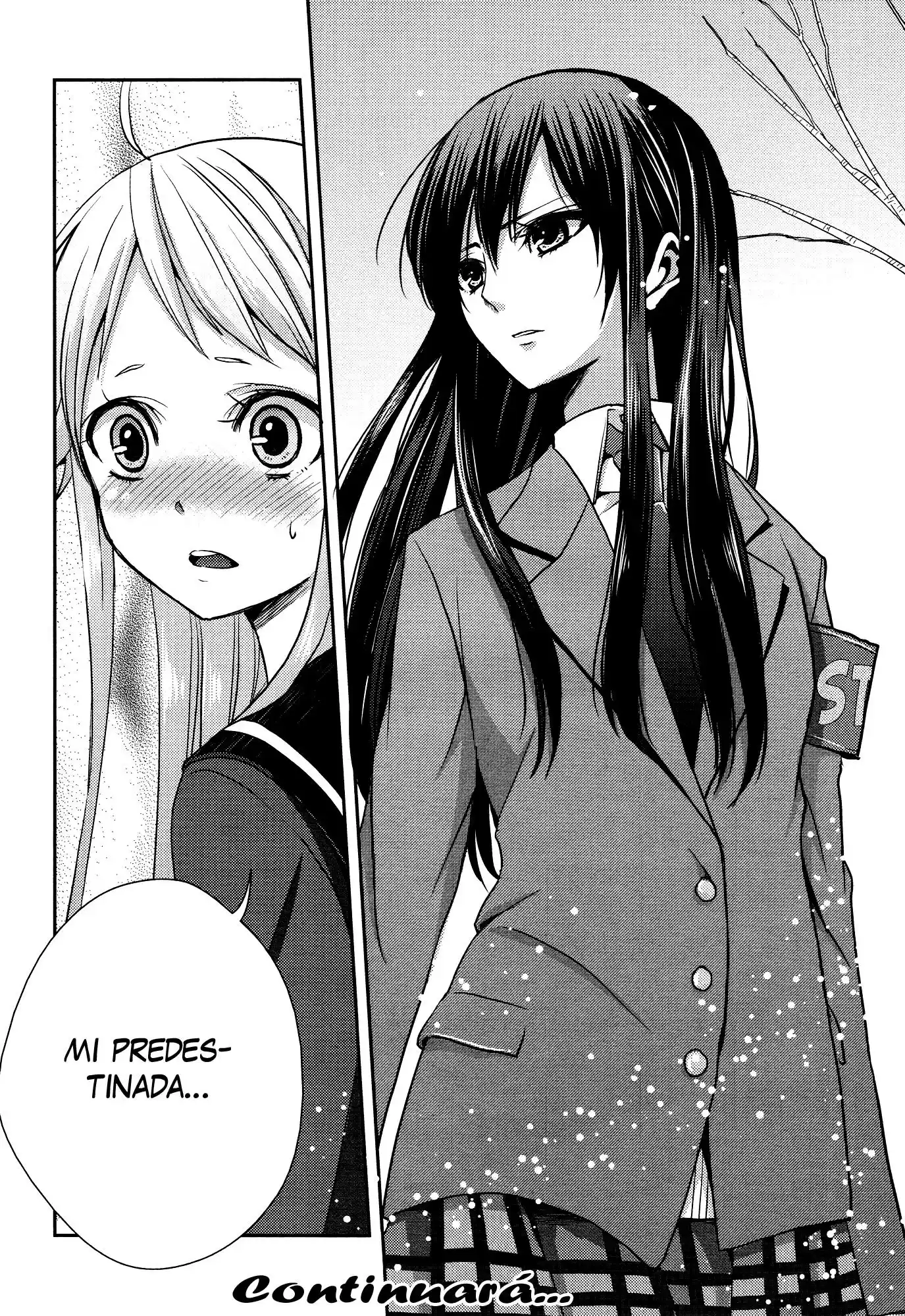Citrus -Saburouta- - Capítulo 13 - Página 36 - LectorTMOo