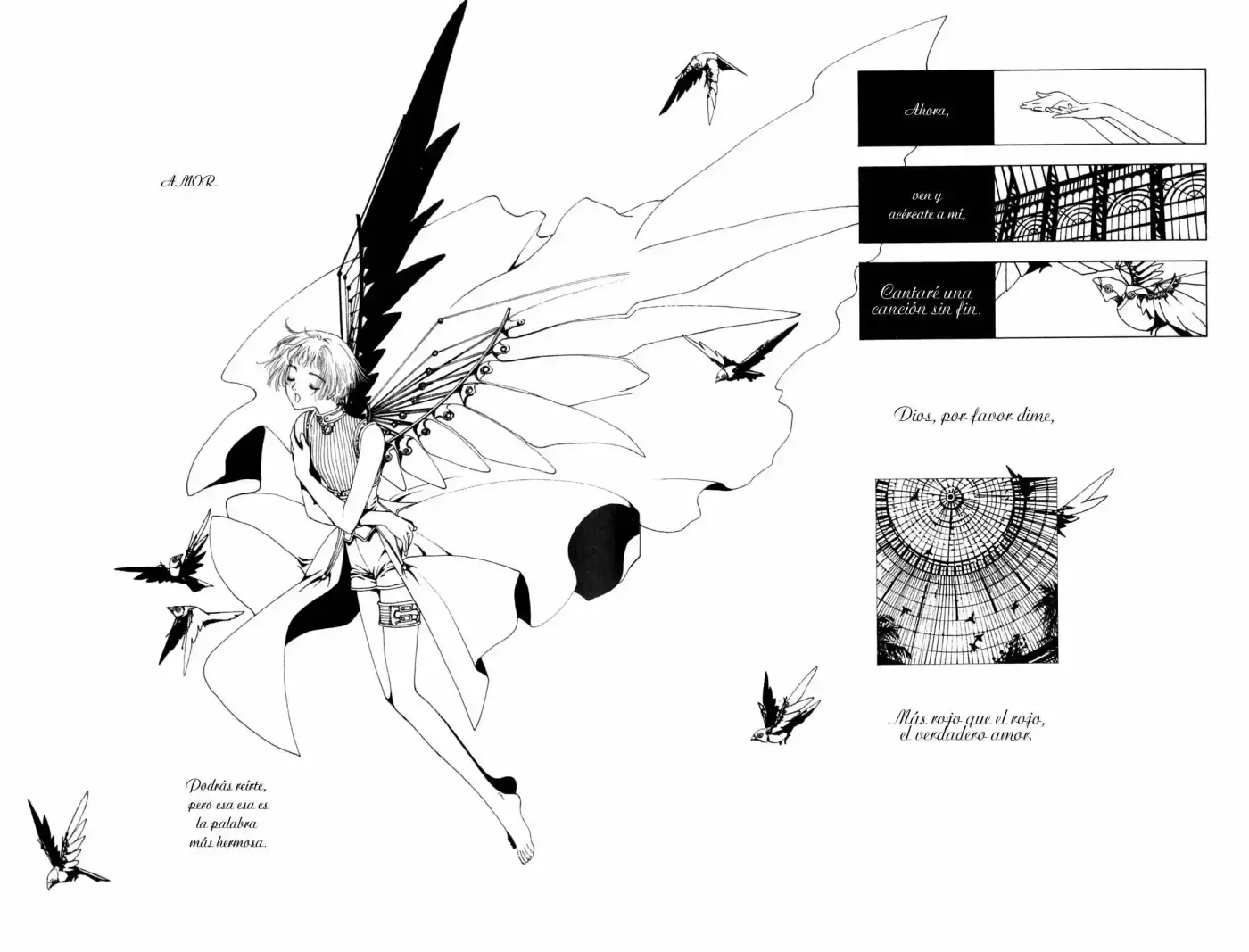 CLOVER (CLAMP) - Capítulo 5 - Página 24 - LectorTMOo