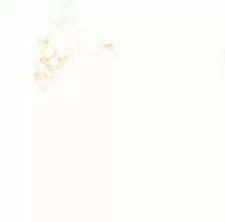 Debajo el roble capítulo 8 página 75