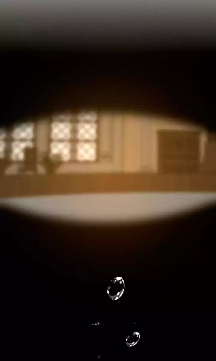 Debajo el roble capítulo 9 página 24